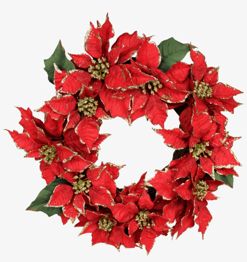 Poinsettia, transparent png