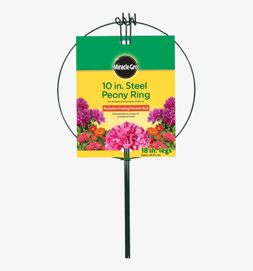 Red Clover, transparent png