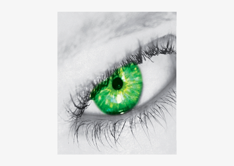 Overview - Wrapping Paper, transparent png