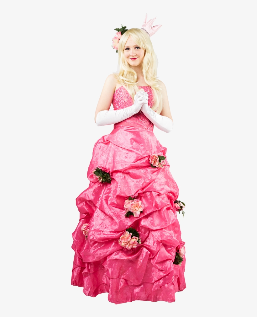 Sleeping Beauty Party Sydney - Gown, transparent png