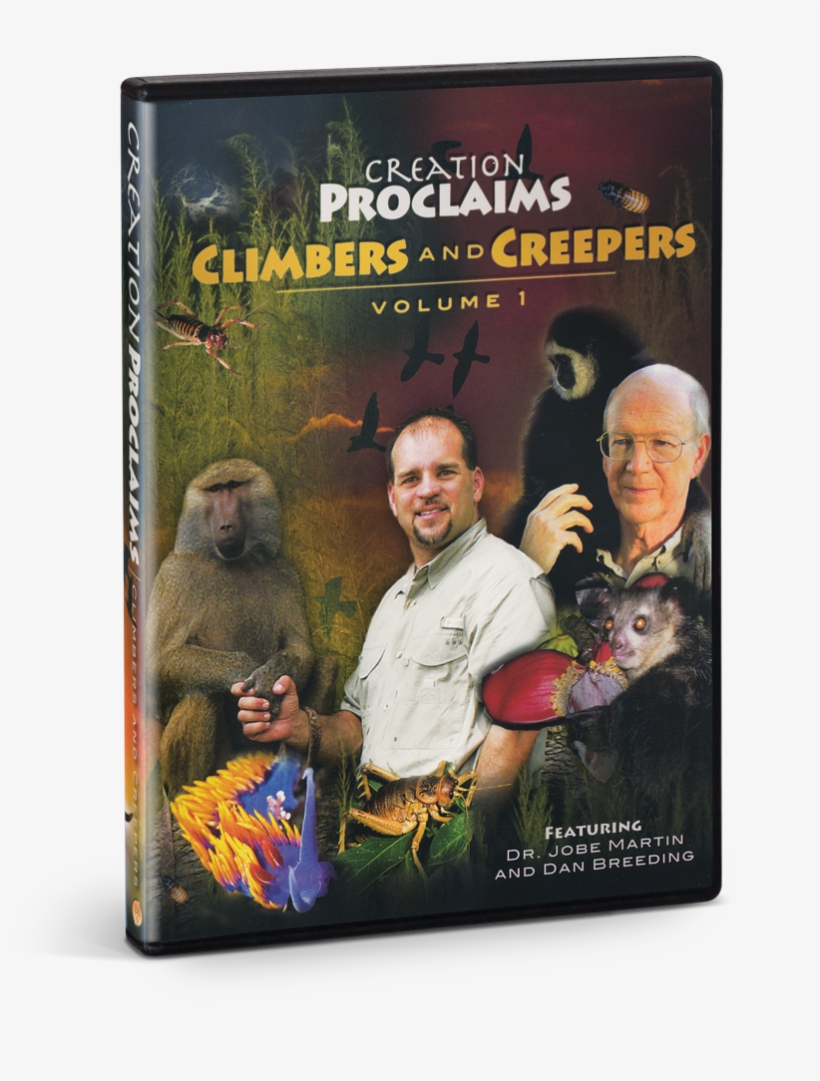 Dvd, transparent png