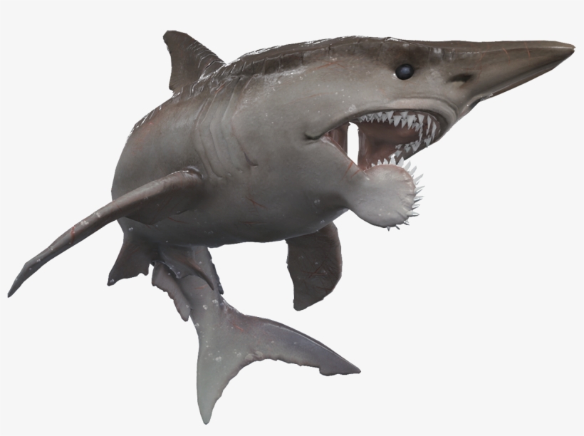 Depth Team On Twitter - Helicoprion Depth, transparent png