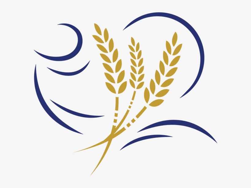 The Curved Lines To The Left Of The Wheat Represent, transparent png