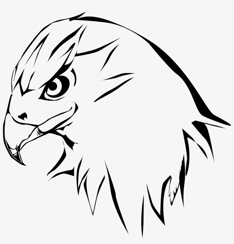 Eagle Silhouette On White - Hawk Drawing, transparent png