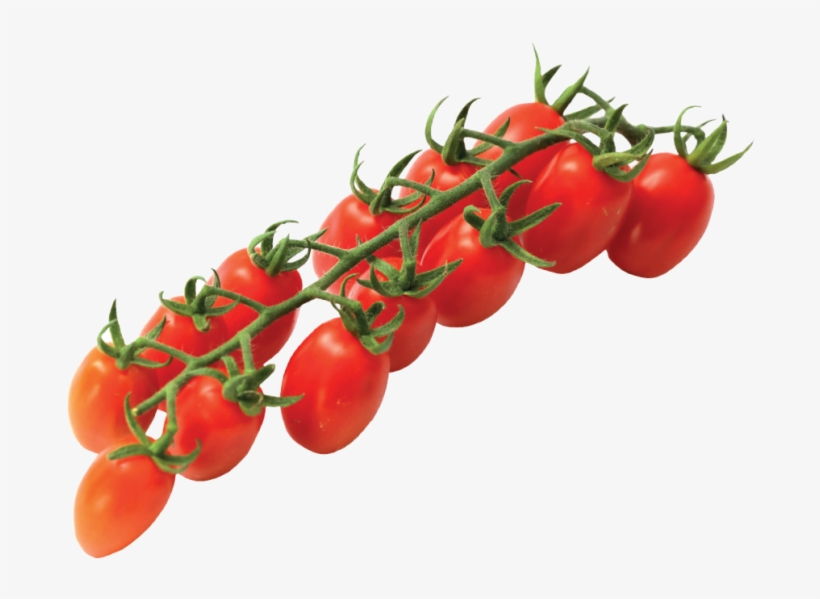 Vittoria Tomatoes Home Eng - Cherry Tomatoes, transparent png