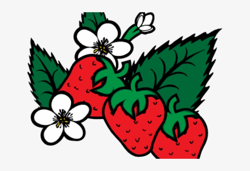 Fruit Clipart Png Black, transparent png