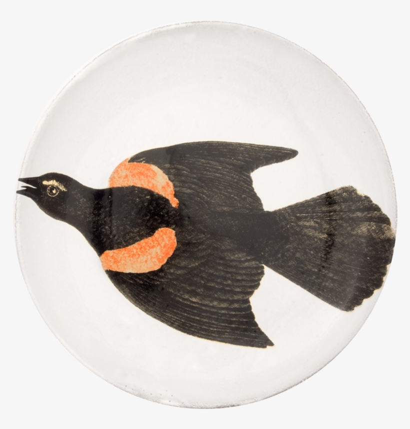 Grouse, transparent png