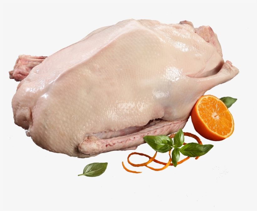 Goose Meat Png, transparent png