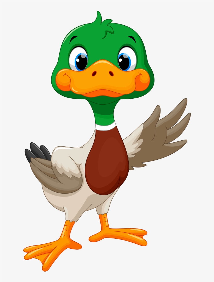 Clip Free Library Clipart Goose - Cute Mallard Duck Clipart, transparent png