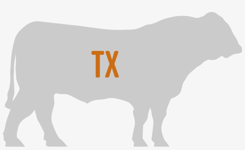 What's The Best Bull For Your Herd's Goals Click Here - Bison, transparent png