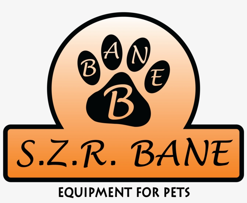 - - Www - Bane-povodnici - Com - - Izrada Oprema Za - Pearl Institute Of Management And Information Technology, transparent png