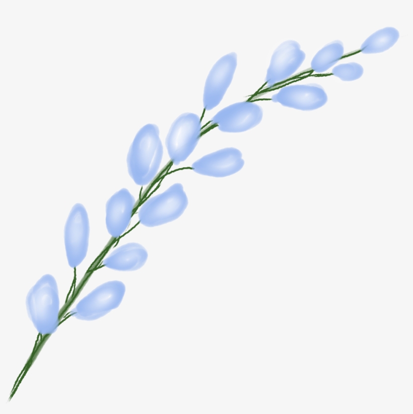 Flower Sticker - Lobelia, transparent png