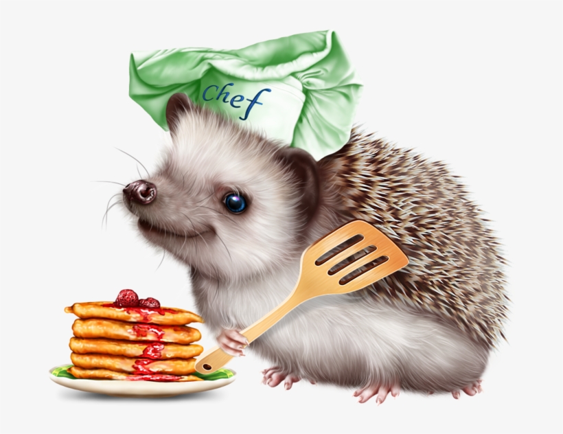 6314590 Hedgehog And Pancakes12 Hedgehog, Tube, Clip - Hedgehog, transparent png