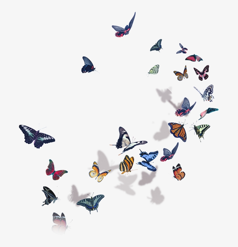 Butterflies Halsey - Halsey World Tour 2018, transparent png
