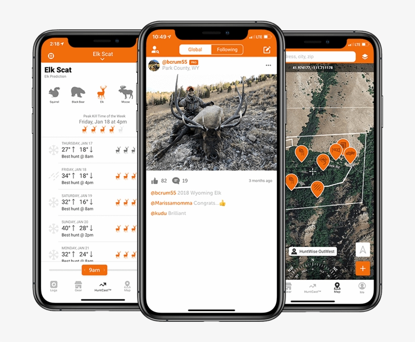 Ui Specieselk - Portable Network Graphics, transparent png