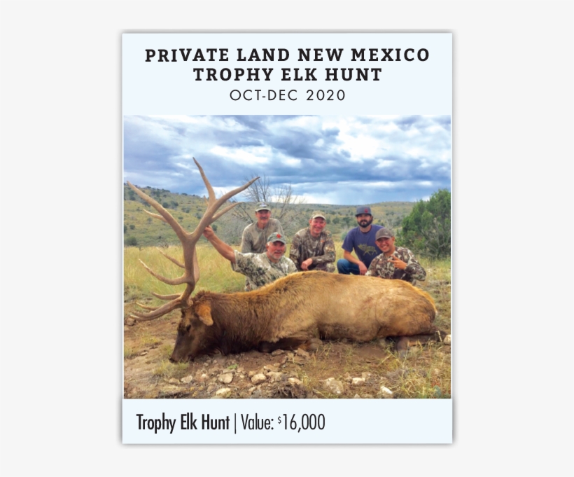 Private Land New Mexico Trophy Elk Hunt - Trophy Hunting, transparent png