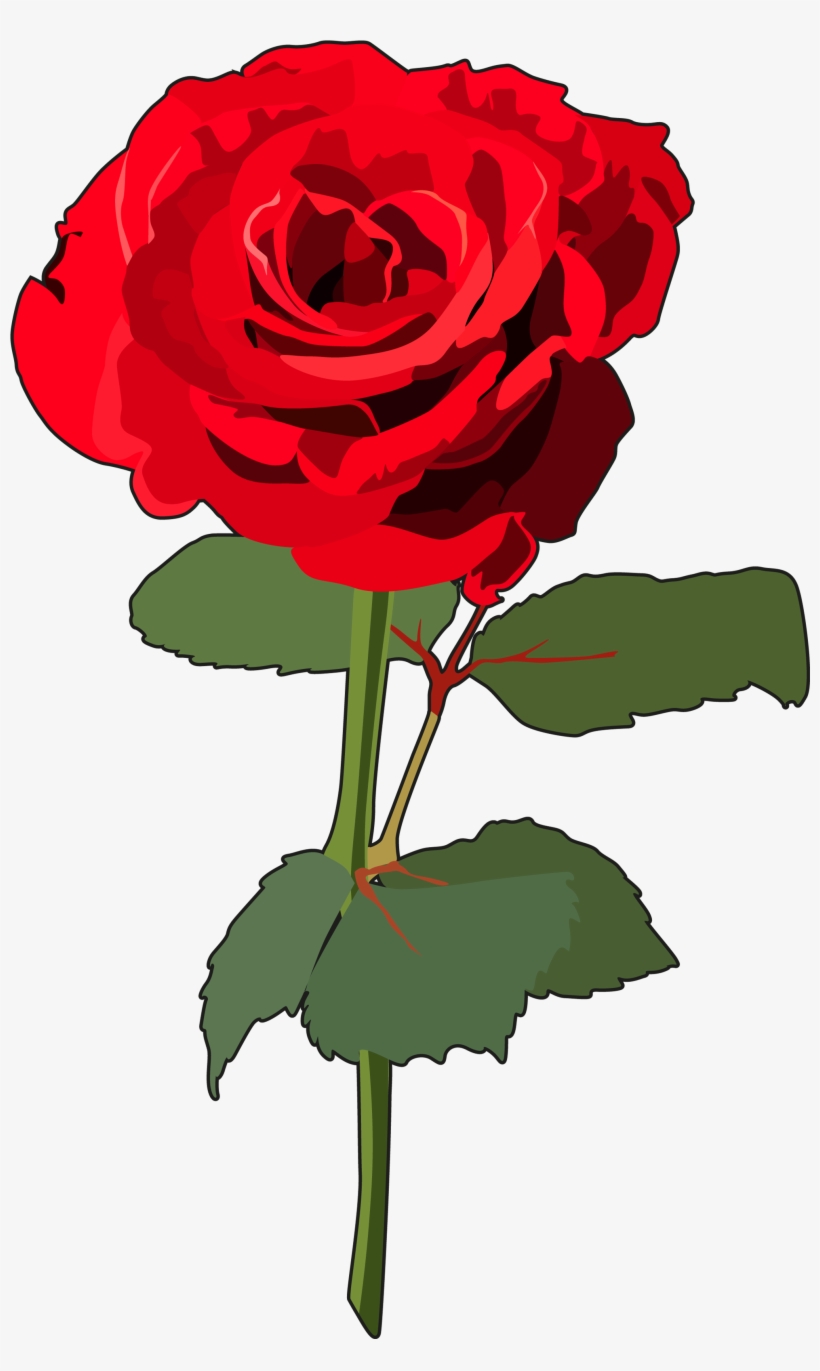 Rosa - Rosa Con Tallo Png, transparent png