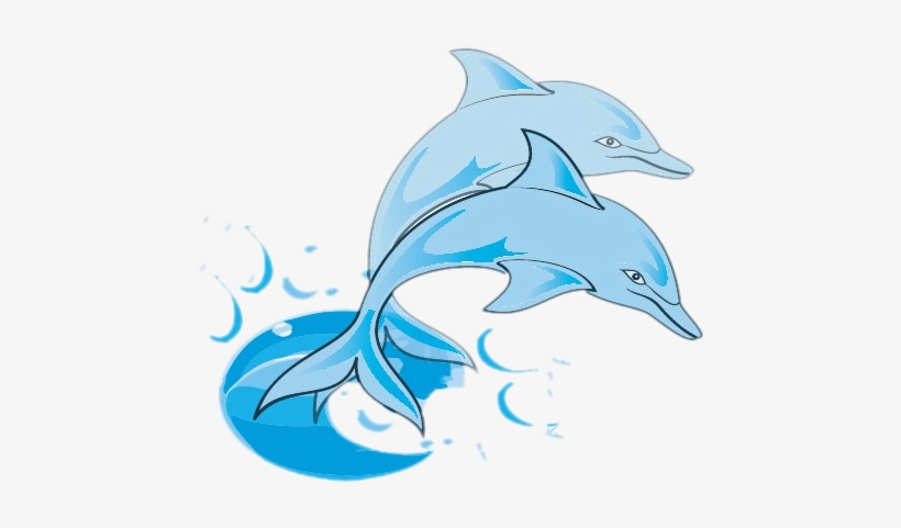Bottlenose Dolphin Clip Art - Dodson Middle School, transparent png