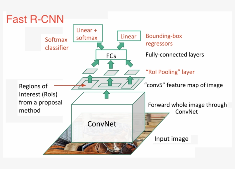 As We Can See From The Image, We Are Now Generating - Faster R Cnn Network, transparent png