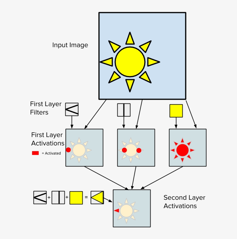 Cnn Position - Diagram, transparent png