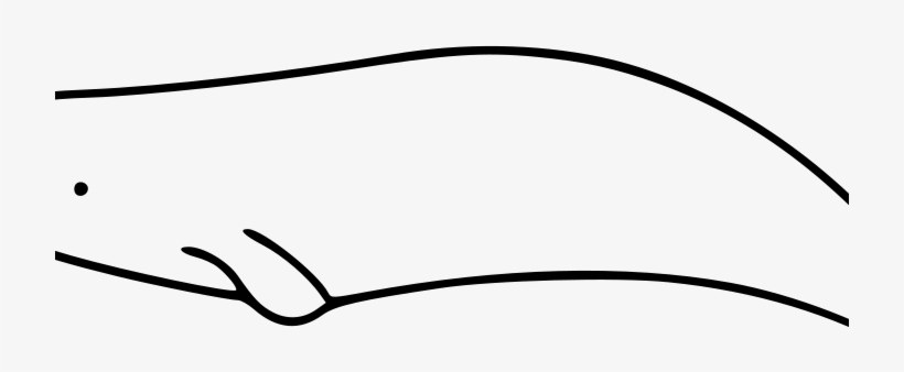 720 X 536 1 - Line Art, transparent png