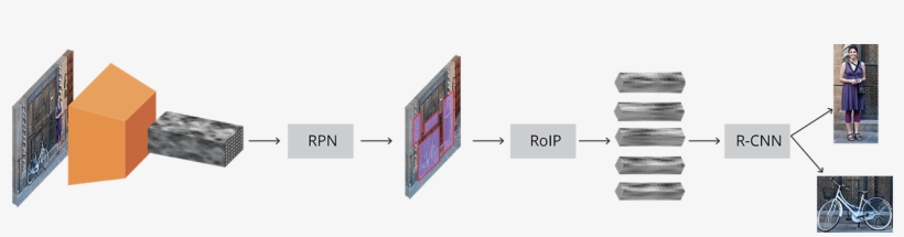 Complete Faster R-cnn Architecture - Faster R Cnn 구조, transparent png