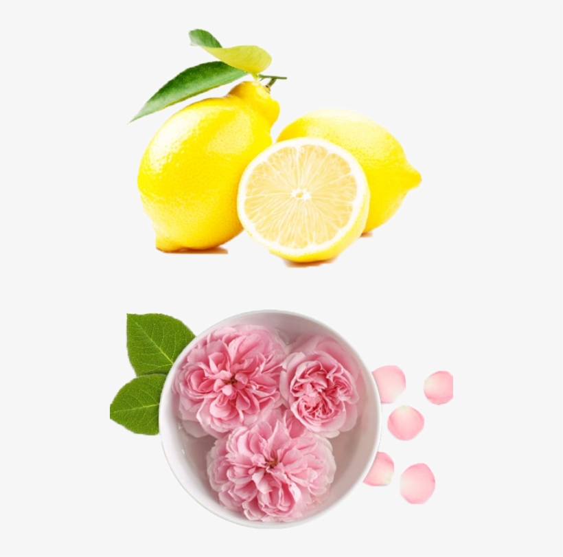 A Rose Is Also An Ancient Symbol Of Love And Beauty - Rose Water And Sandalwood Powder, transparent png