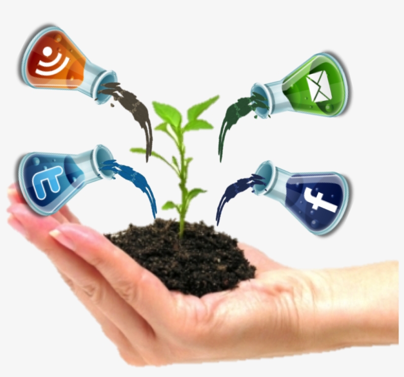 Our Company Ensure You Of - Support Growth, transparent png