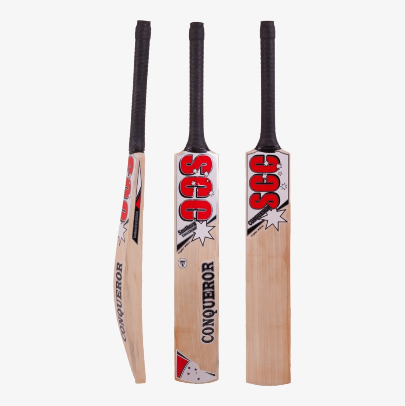 Cricket, transparent png