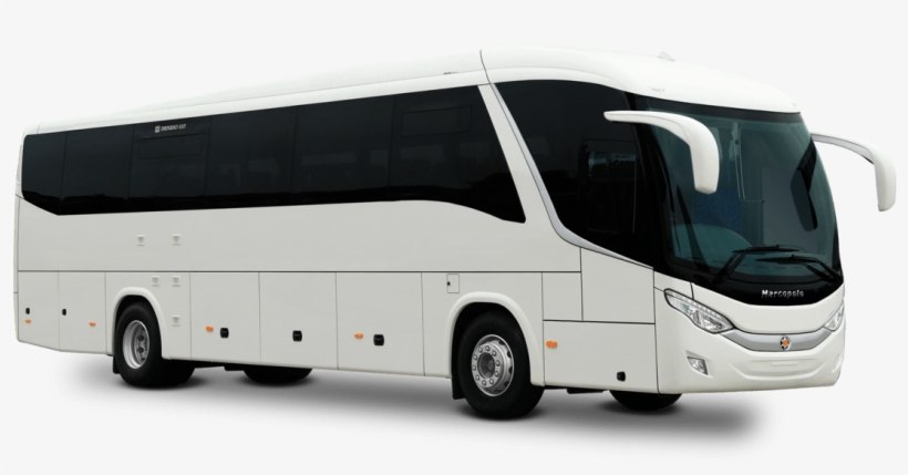 Our Fleets - Bus Indonesia Png, transparent png