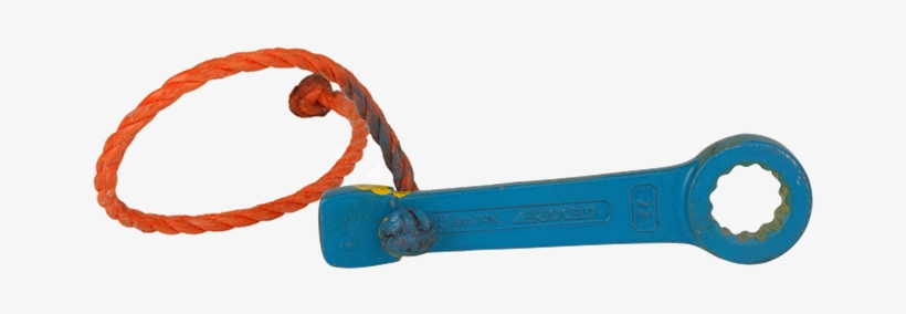 58507000 0 - Circle, transparent png