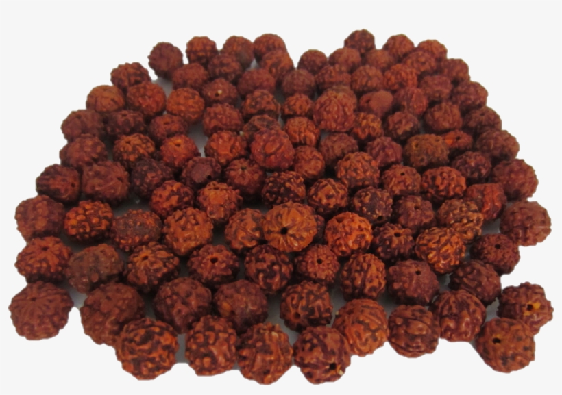Rudraksha Malas Have Been Used By Hindus As Rosaries - Rudraksha Beads, transparent png