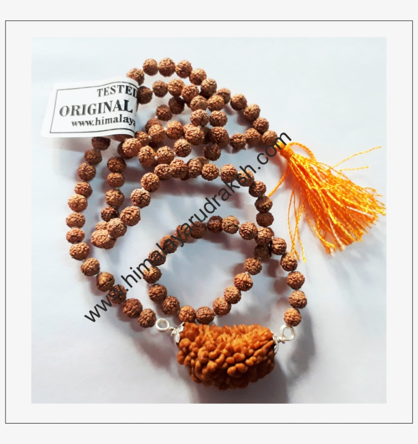 1 Mukhi Rudraksh Mala For Wearing Purpose 108 1 Beads - Bead, transparent png