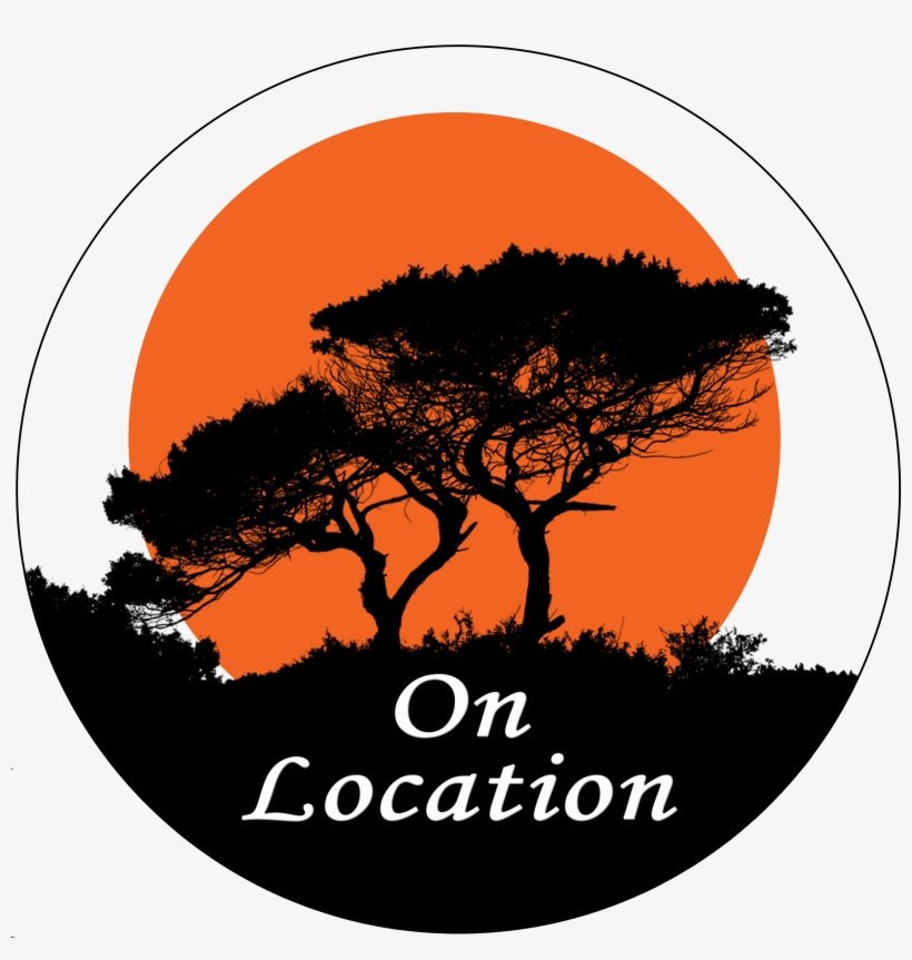 Updated - 05/01/2018 - Beautiful Vector, transparent png