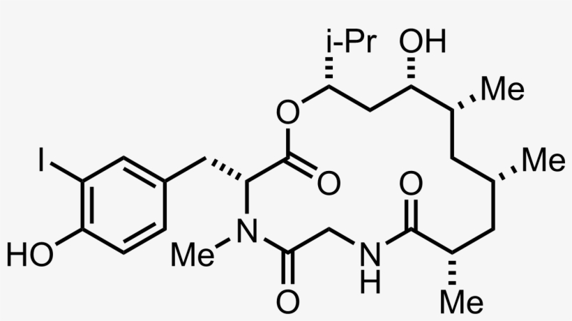 Structure Of Doliculide - Succinic Dihydrazide, transparent png