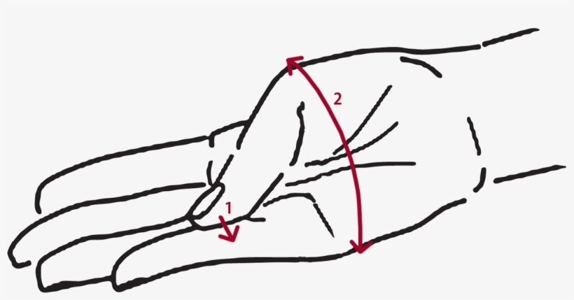 Measuring For Bangles - Line Art, transparent png