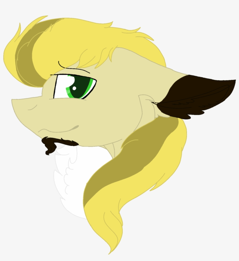 Brokensilence, Bust, Catchlights, Oc, Oc - Cartoon, transparent png