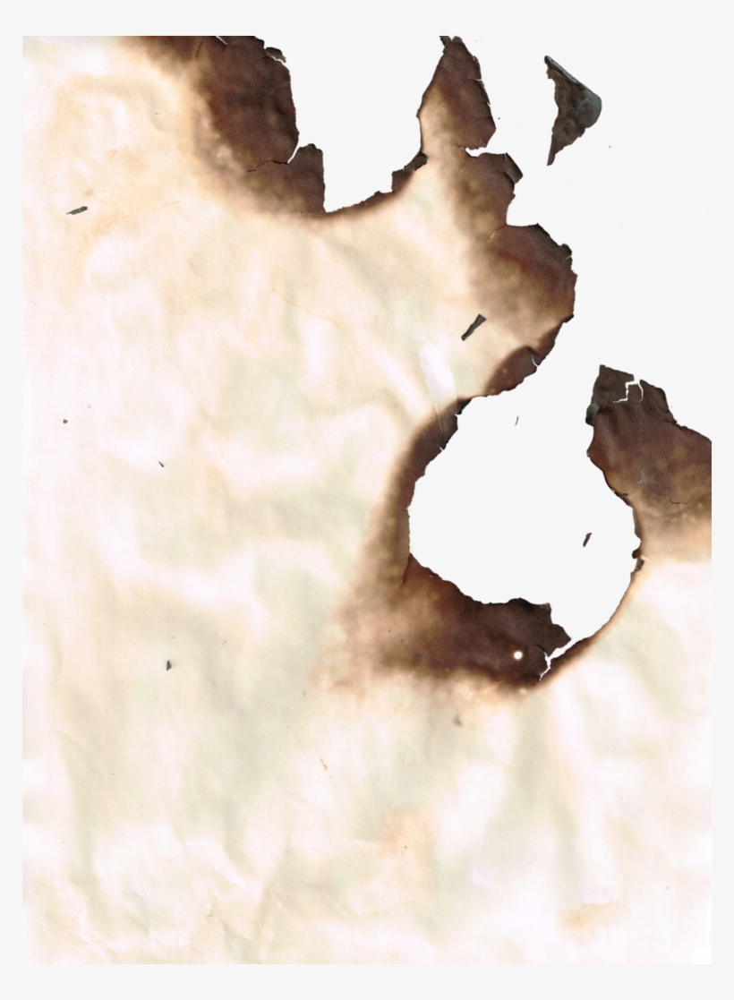 Burnt Png - Still Life Photography, transparent png