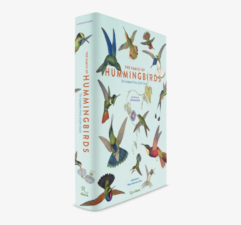 Ruby-throated Hummingbird, transparent png