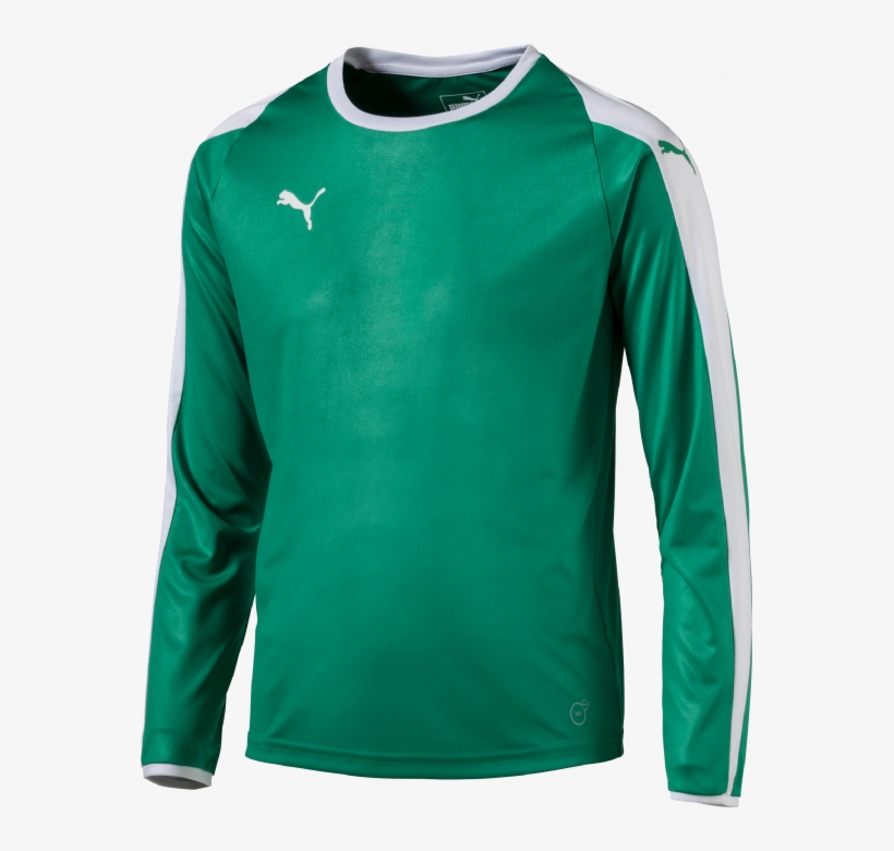 Puma Liga Gk Shirt - Puma Se, transparent png