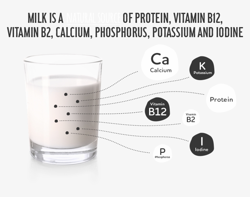 Company - Old Fashioned Glass, transparent png