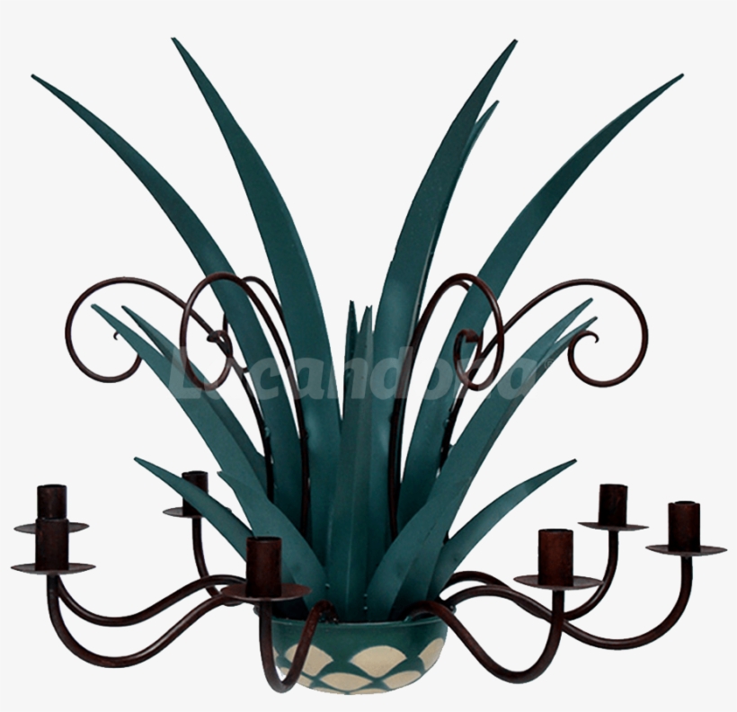 Agave Chandelier - Agave Azul, transparent png