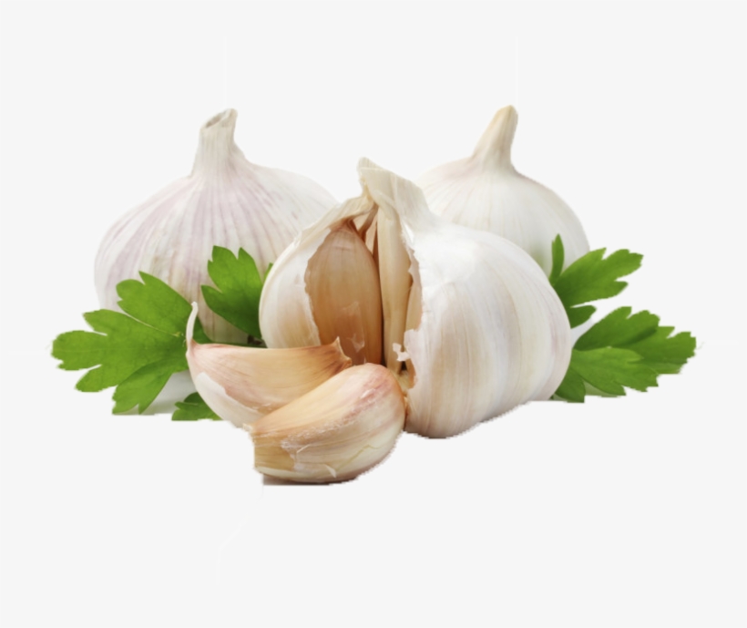 Allium Sativum L, transparent png