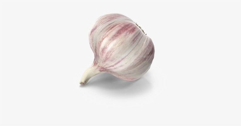 Garlic Png Free Download - Garlic, transparent png