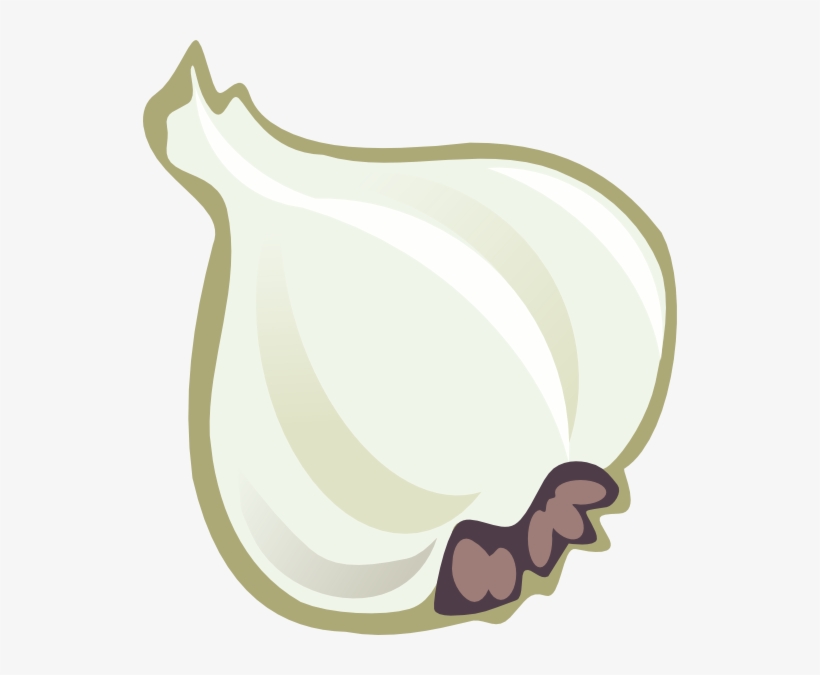 How To Set Use Garlic Svg Vector, transparent png