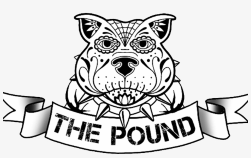 The Pound Gym, transparent png