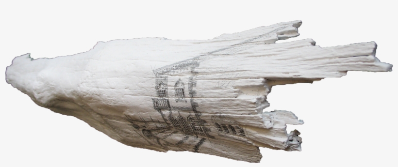 “the Real Voyage Of Discovery Consists Not In Seeking - Driftwood, transparent png