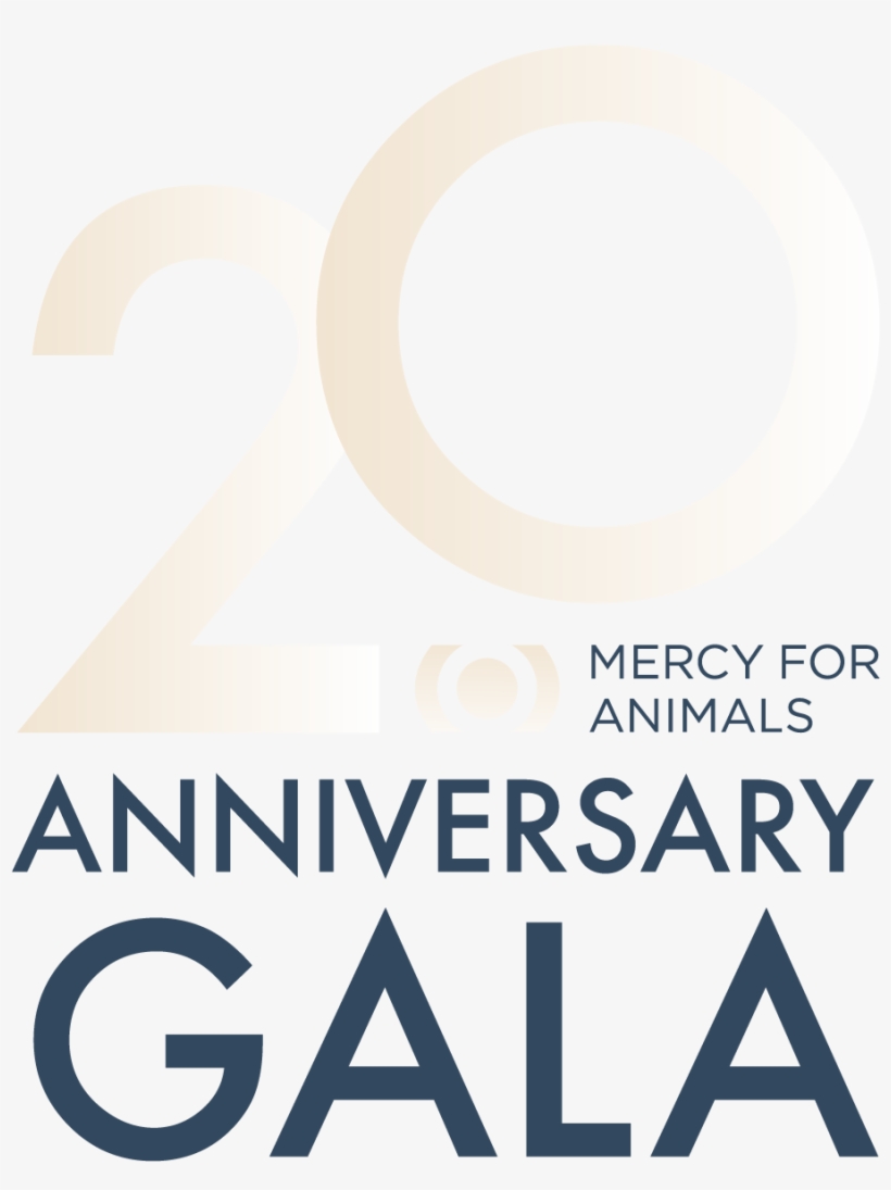 Mfa Hidden Heroes Gala - Ajman University Of Science, transparent png