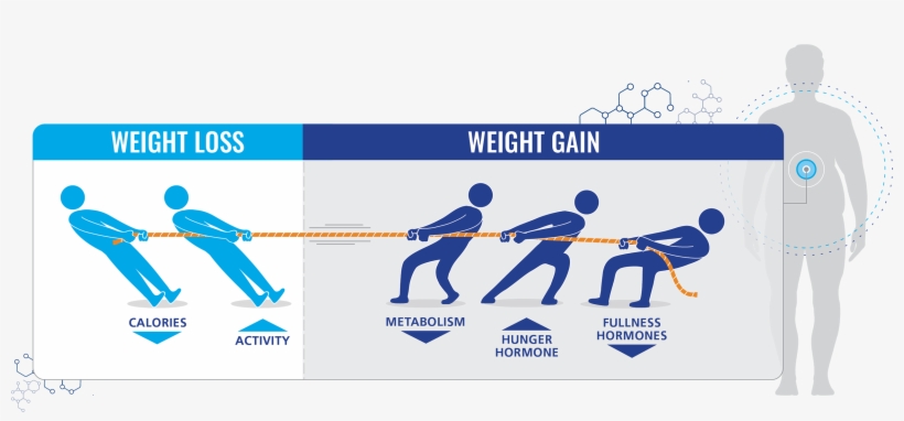 Graphic Depicting Conflicting Factors Contributing - Graphic Design, transparent png