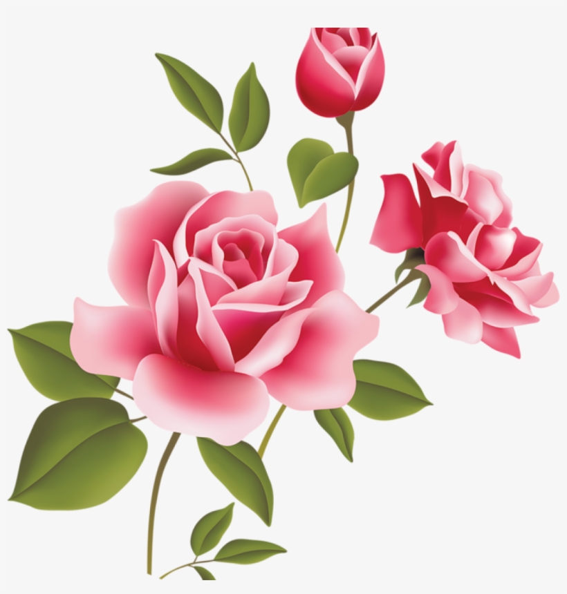 Pink Rose Clipart Pink Rose Art Picture Clipart Clipart - Rose Flowers Vector Png, transparent png